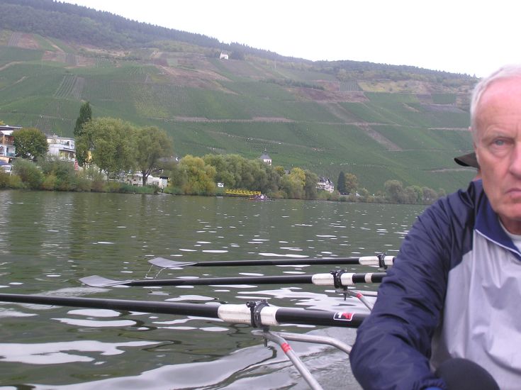 Mosellandschaft
