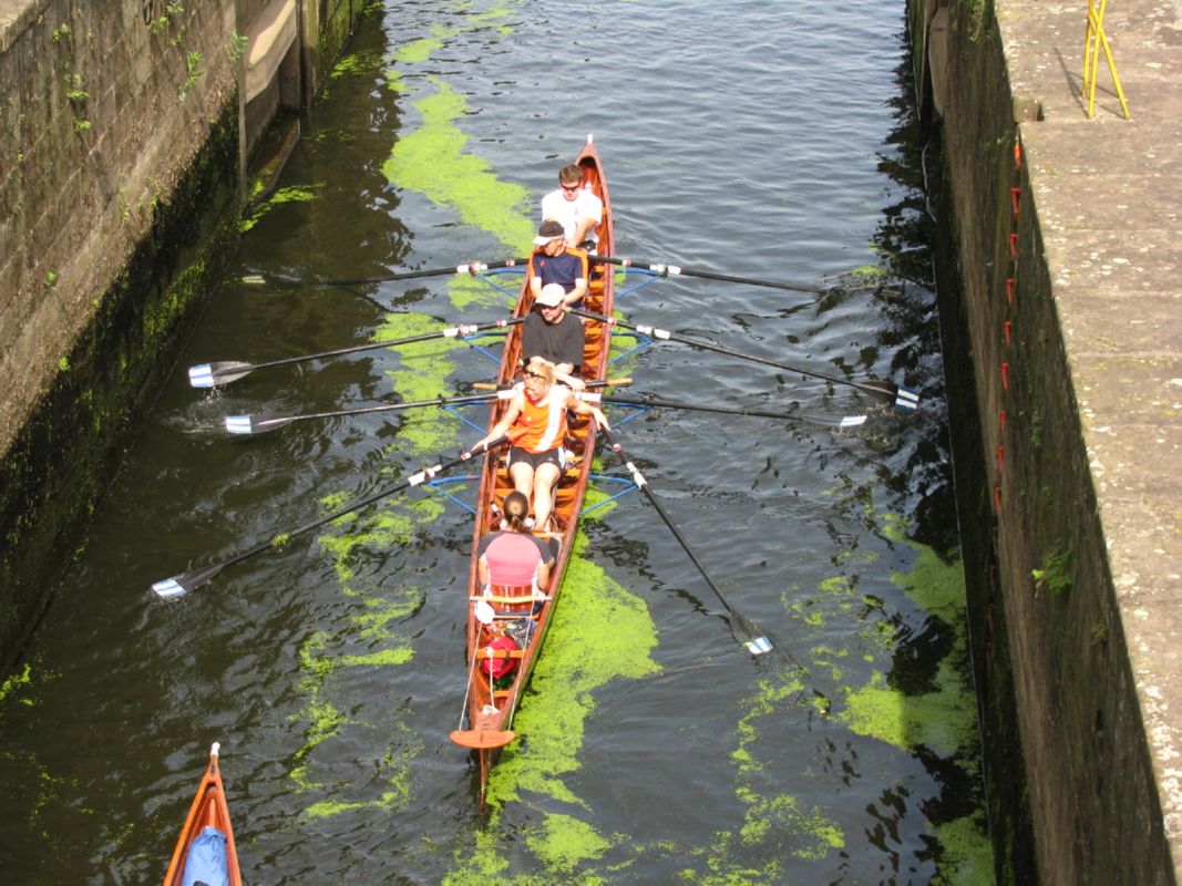 2009ems173