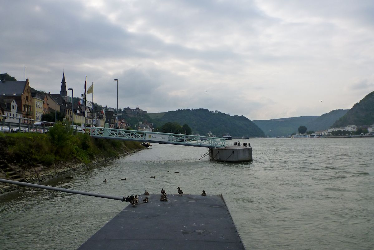 Rhein_013