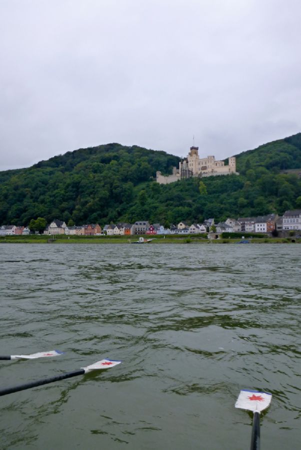 Rhein_067