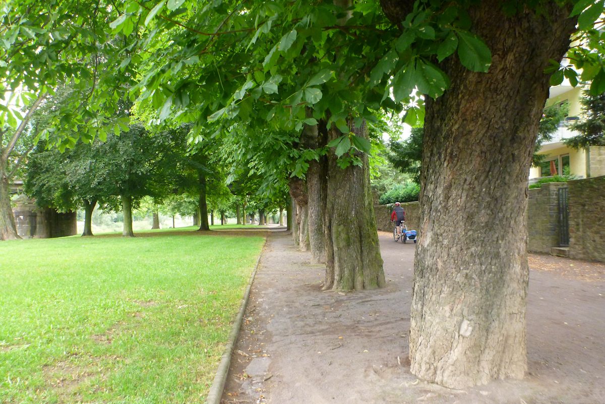 Rhein_079