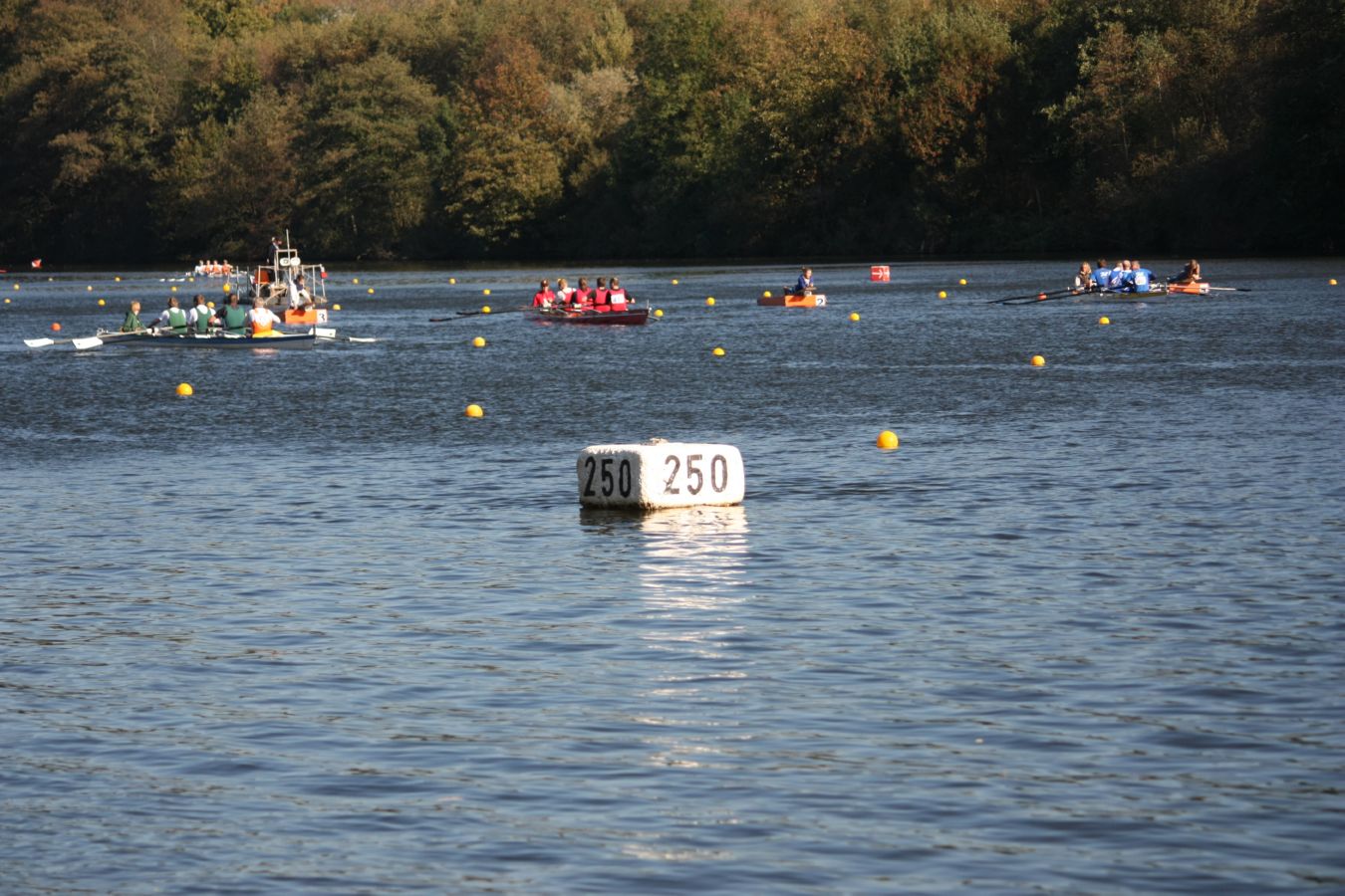 IMG_1204
