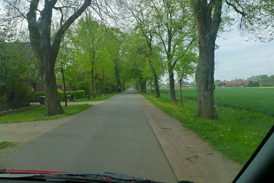 Aller_151