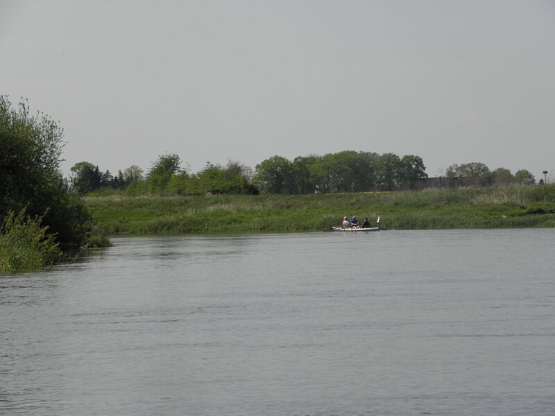 P4309270