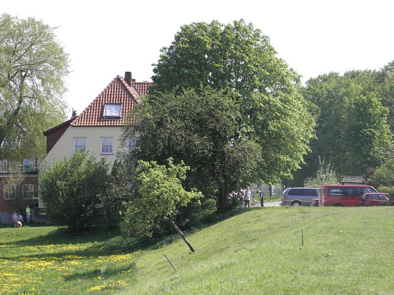 P5019300