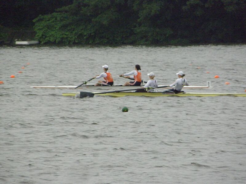 djm232