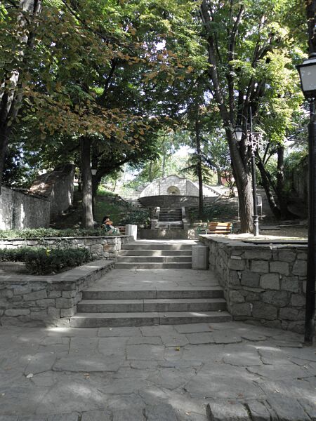P8170052