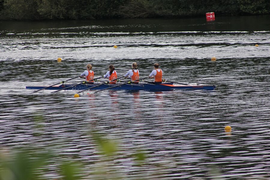 IMG_2956