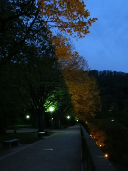 Maiwanderfahrt_2013_177