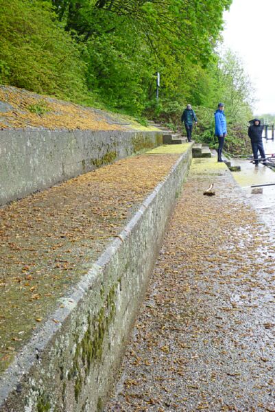 Neckar2013_049