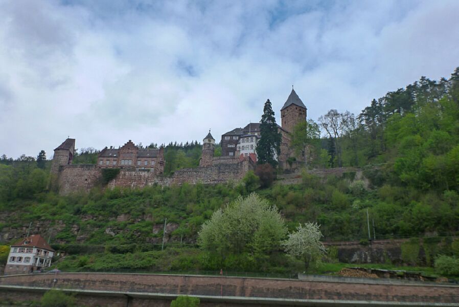 Neckar2013_088