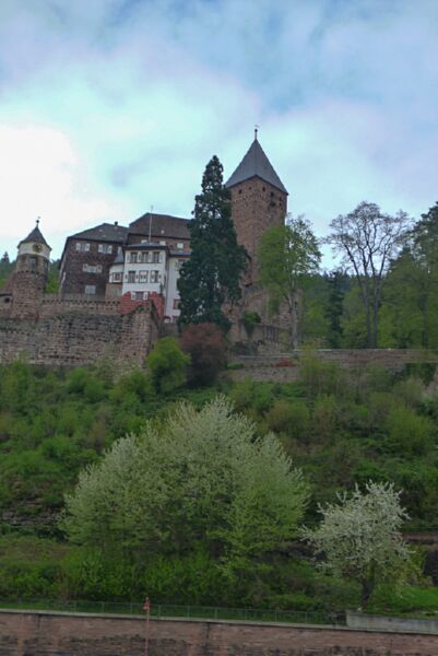Neckar2013_090