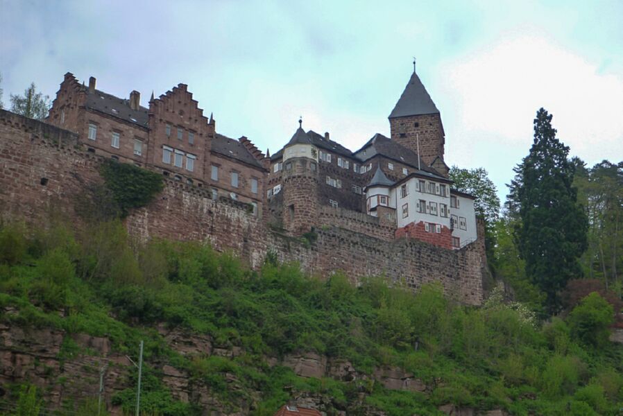 Neckar2013_100