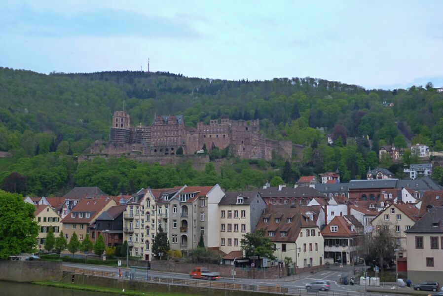Neckar2013_117