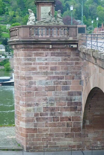 Neckar2013_119