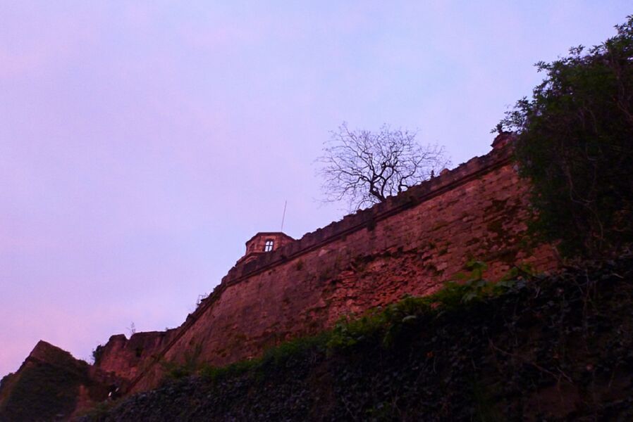Neckar2013_126