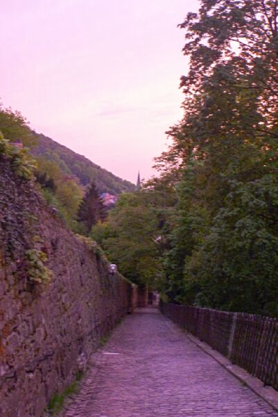 Neckar2013_128