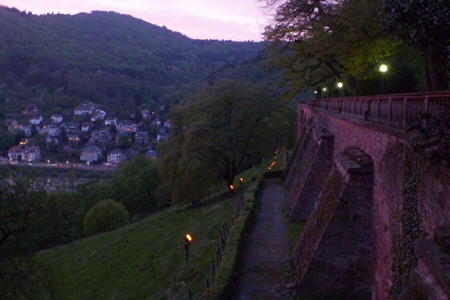 Neckar2013_134