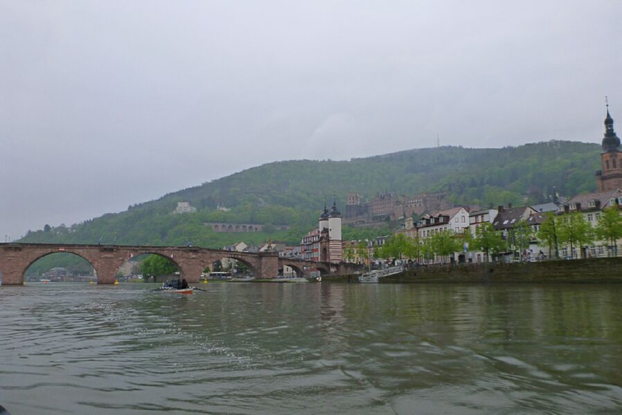Neckar2013_174