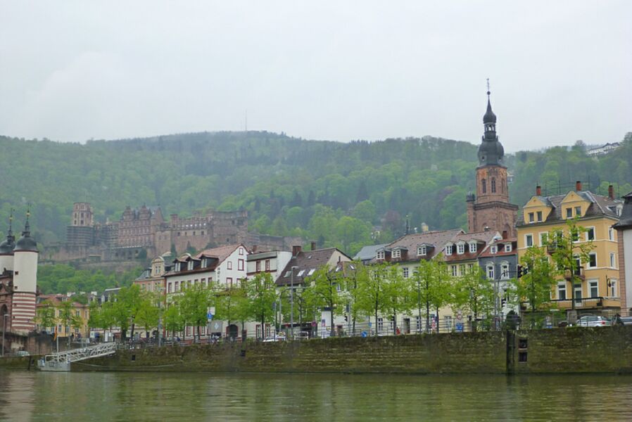 Neckar2013_176