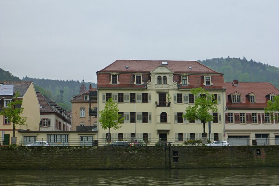 Neckar2013_177