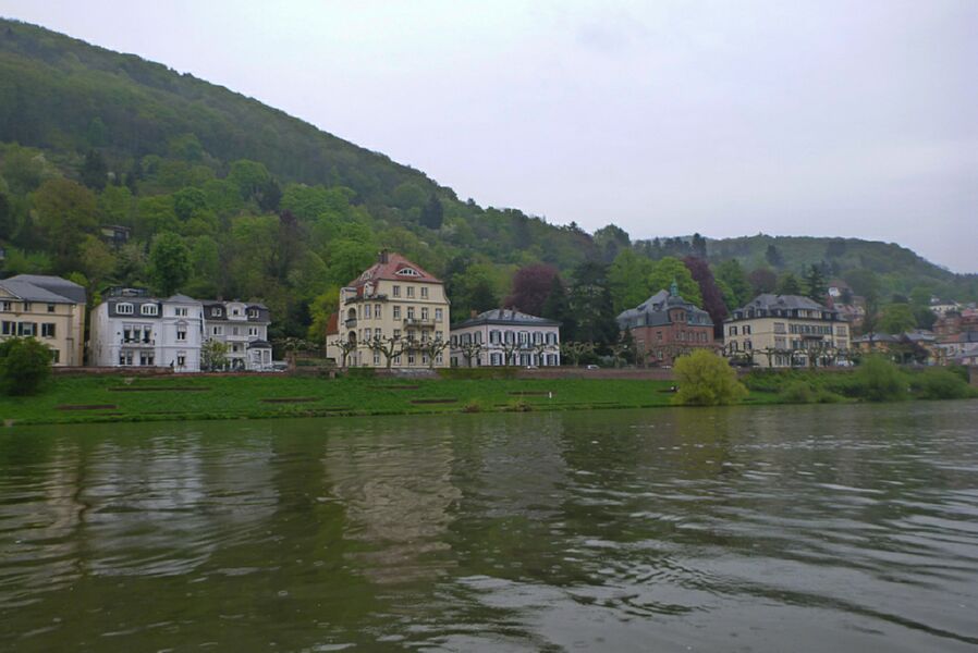 Neckar2013_180