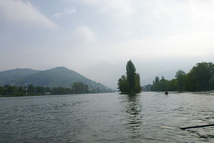 Neckar2013_190