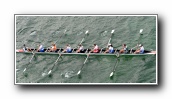 [Click to enlarge image]