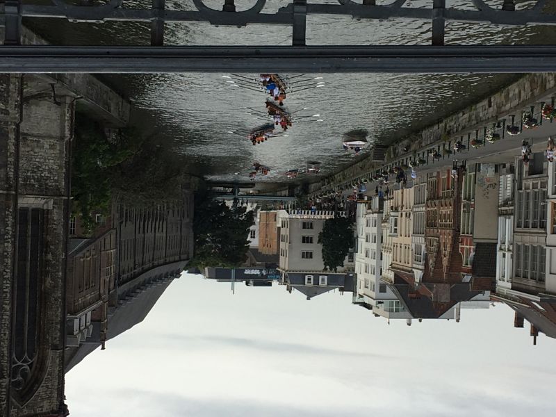 Gent (81)