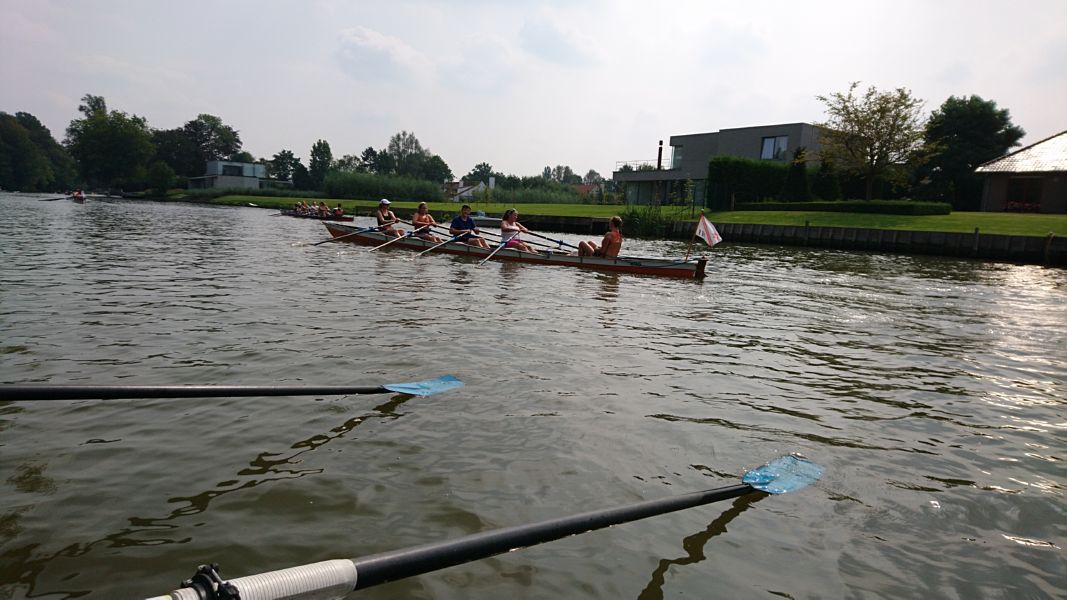 Gent (161)