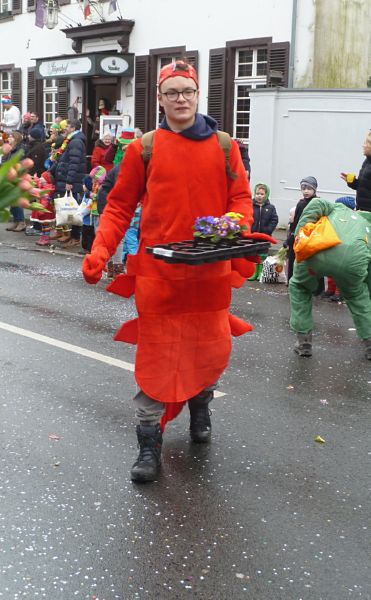 karnevalsumzug (73)
